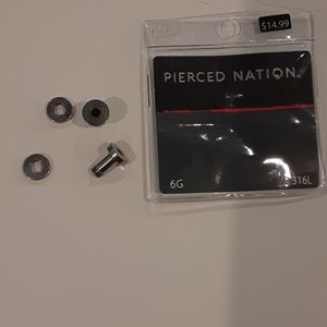 6g Screwback Silver Tunnels